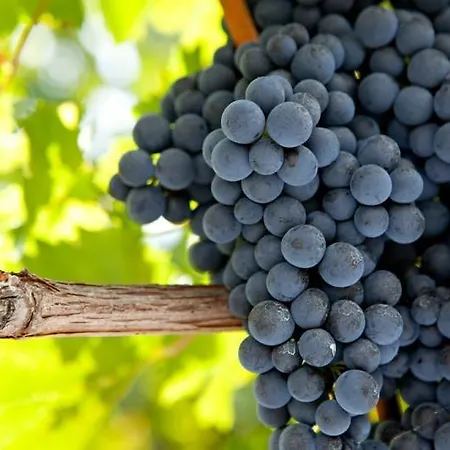 Hotel Domaine De Claire Rive - Terres De France