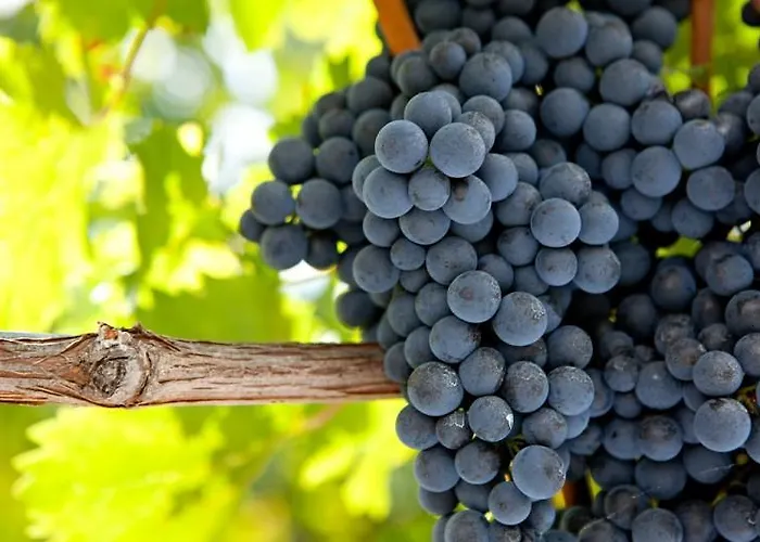 Hotel Domaine De Claire Rive - Terres De France