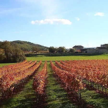 Domaine De Claire Rive - Terres De France Hotel Prayssac